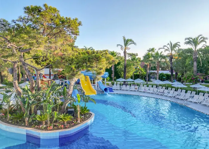 Catamaran Quality Times